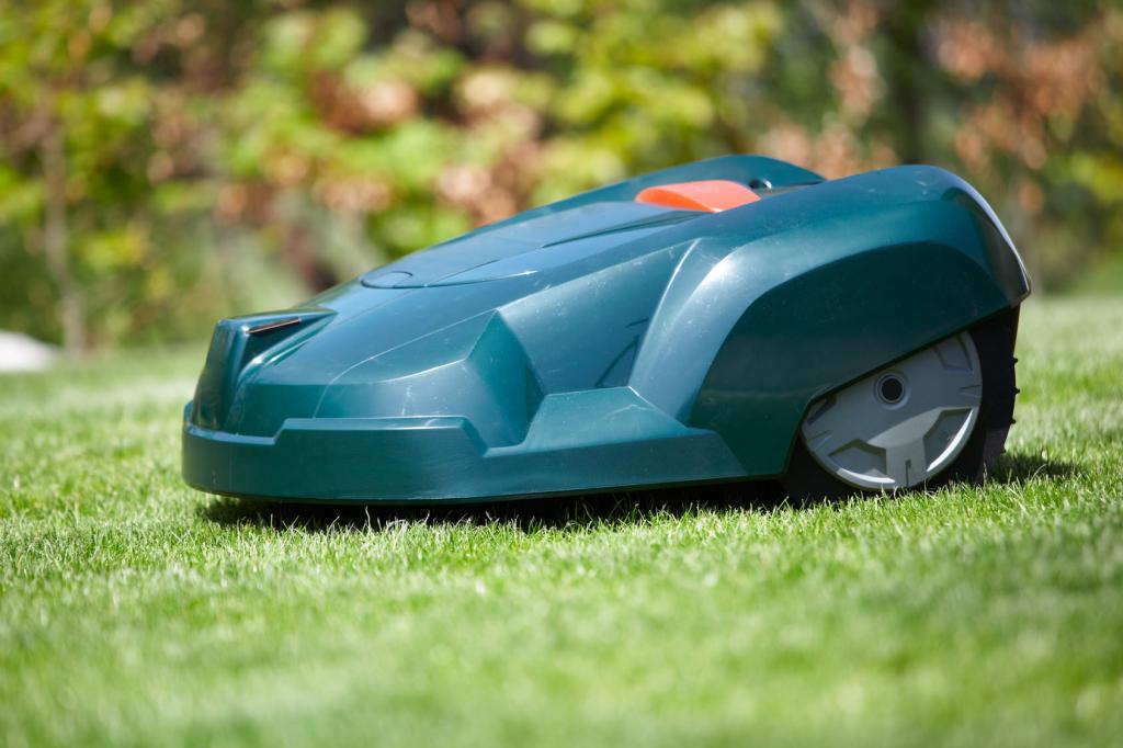 © Fotolia: Daniel Nimmervoll - 41349195