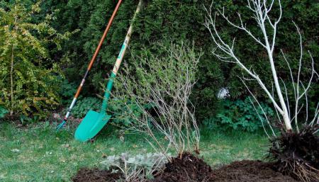 Gartenarbeit