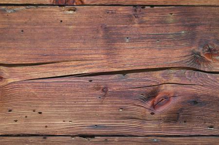 Holz mit erkennbarem Schädlingsbefall